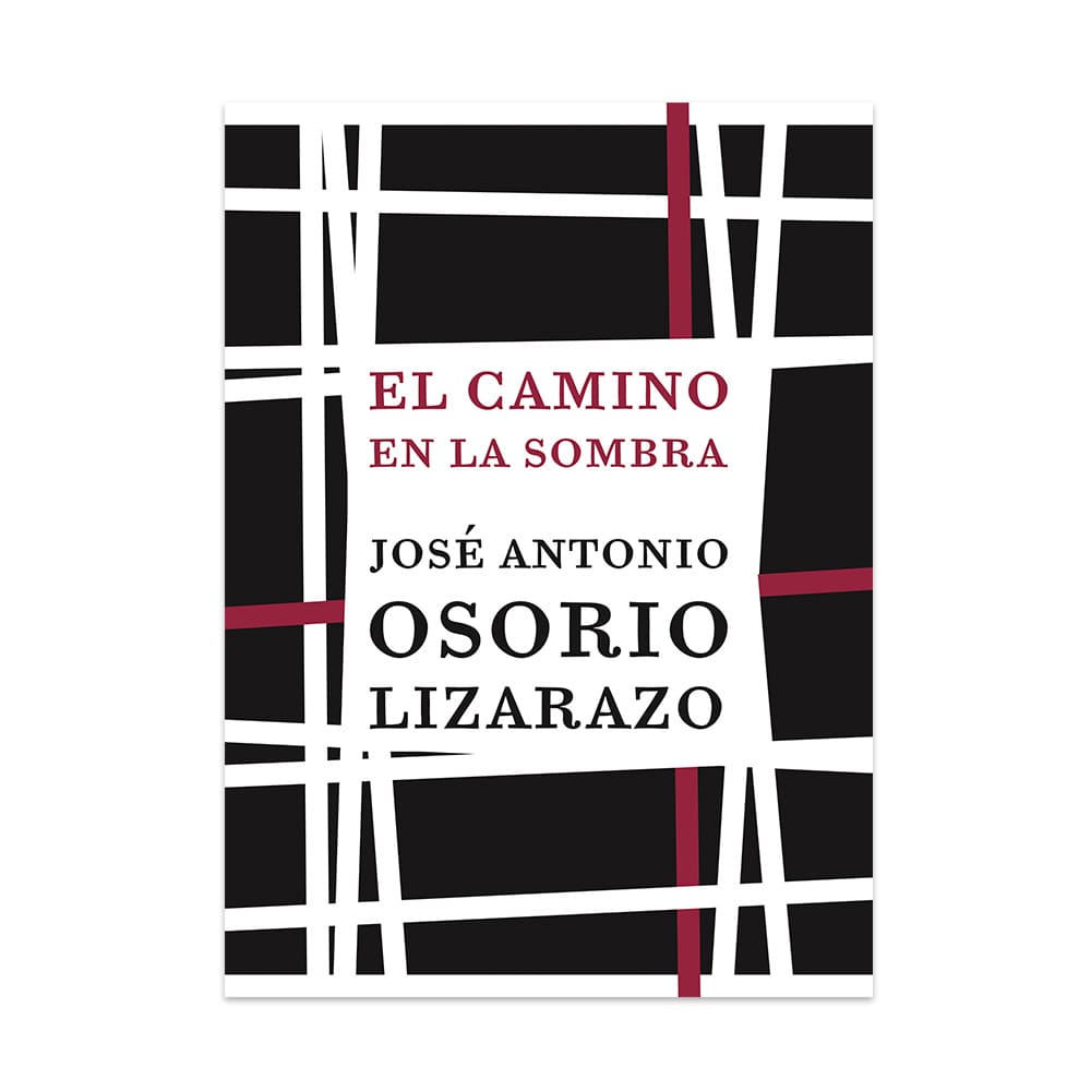 El camino en la sombra