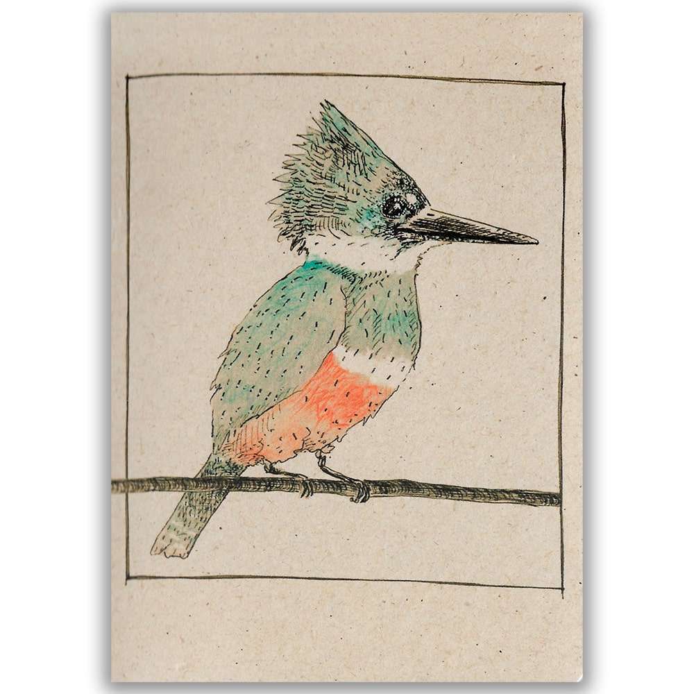 Cuaderno Martín Pescador