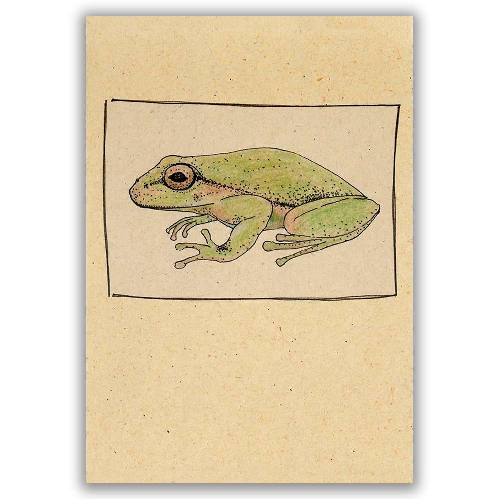 Cuaderno Rana Sabanera