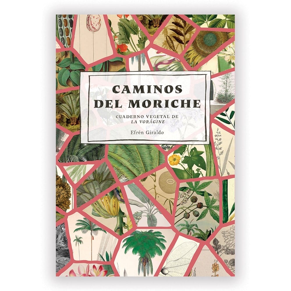 Caminos del moriche